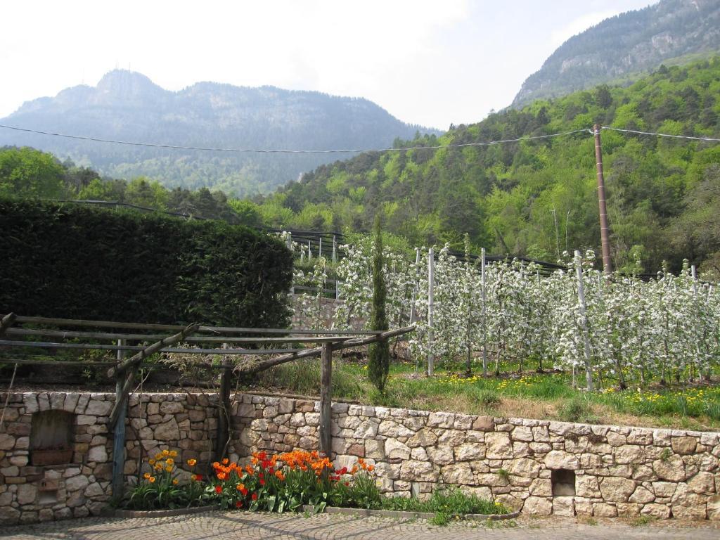 Schloss-Hof Eppan an der Weinstraße Værelse billede